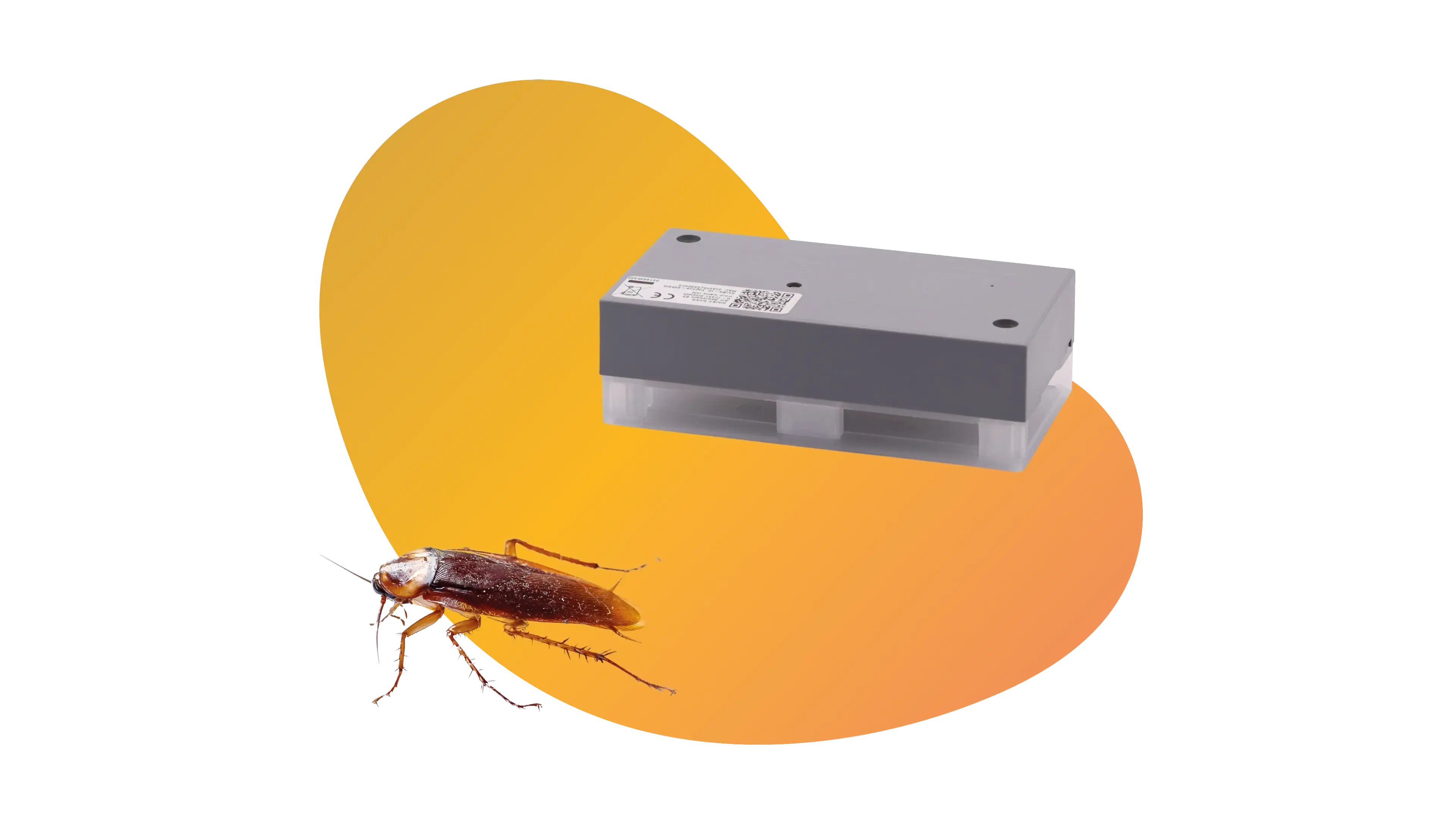 traptice® insect: digitaler Insektenmonitor mit Kamera und Klebefläche